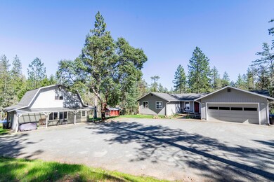 Pine Tree Dr.-23 New