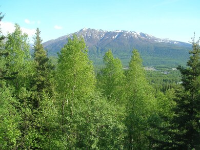 VIEWS in the Springtime...