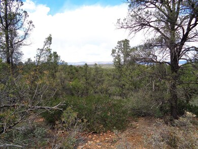 1400 Tranquility Point Pic 4