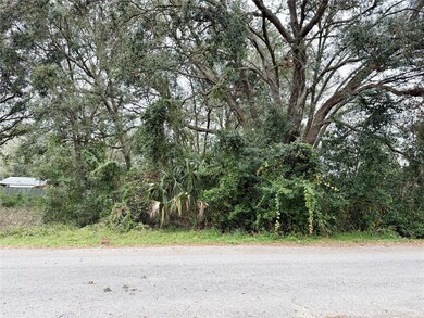 0 Hilda Rd unit MFRTB8334007, Ridge Manor, FL 33523 - photo 4