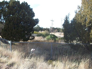 1780 Canyon Pl Show Low 007