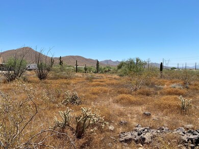 IMG-1683