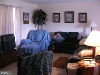 264 Auto Dr, Stanley, VA 22851 - photo 5