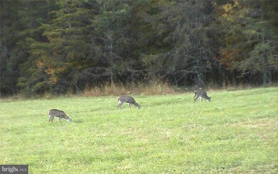 unlisted-address, Baker, WV 26801 - photo 6