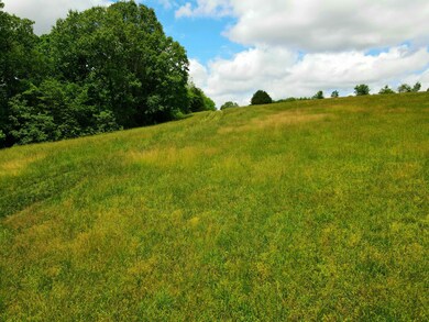 Photo_6553862_DJI_262_jpg_8127892_0_2021
