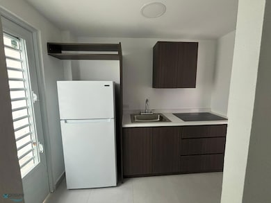 802 802 Calle Sanchez unit 1c, San Juan, PR 00908 - photo 7