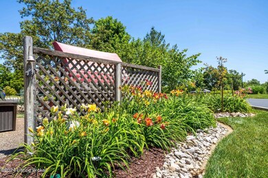 Award Winning Lily Garden