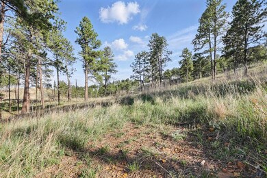 Lot17A W Minnesota St, Rapid City, SD 57701 - photo 4