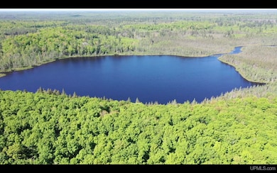 527 Usfs Rd 2130 Rd, Iron River, MI 49935 - photo 3