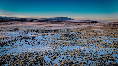 dji_fly_20250124_165538_0890_17377634857