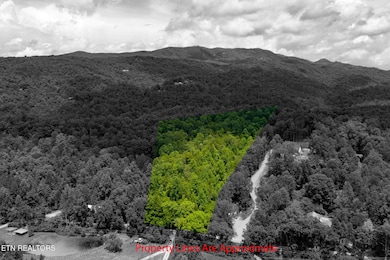 424 Tunis Rd, Pittman Center, TN 37876 - photo 2