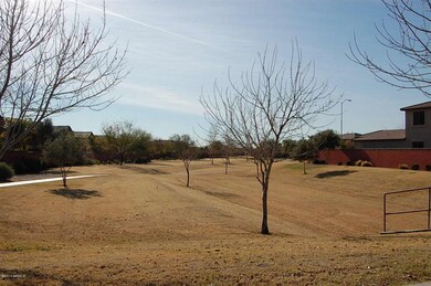 Community Walking Path 2