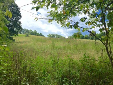 325 Sinks Rd, Somerset, KY 42501 - photo 7