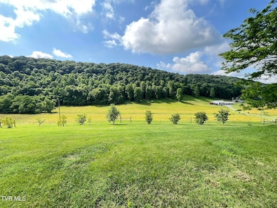 18525 Horton Hwy, Fall Branch, TN 37656 - photo 4