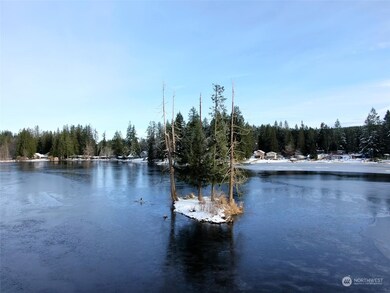 1 Island @ Lake Whitman, Graham, WA 98338 - photo 7