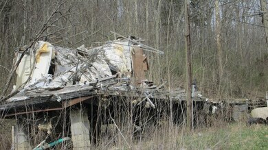 564 Johnson Creek Rd, Ewing, KY 41039 - photo 6