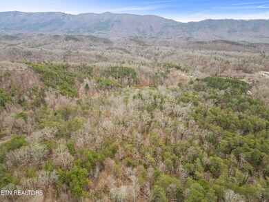 3940 Allegheny Loop Rd, Maryville, TN 37803 - photo 5