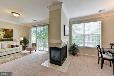 1724 Osage St unit 301, Alexandria, VA 22302 - photo 5