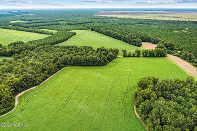 8-web-or-mls-DJI_0760