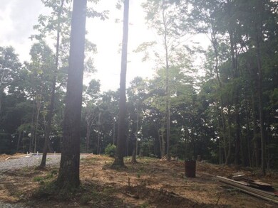 1380 Overlook Cir, Cookeville, TN 38506 - photo 4