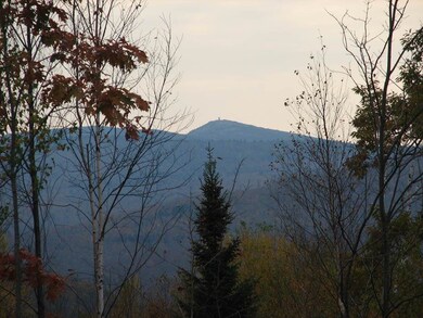 0 Nh Route 118 unit 648 4726408, Dorchester, NH 03741 - photo 2