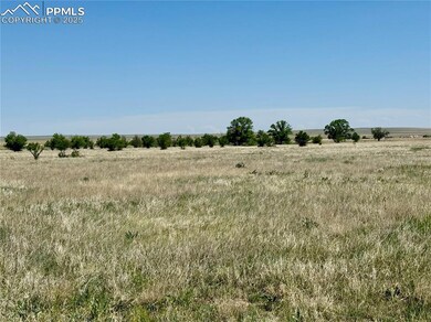 Meadows & Trees