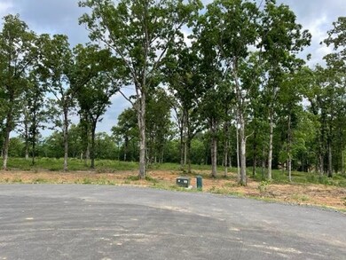 0 Orchard Hill Lot 4 Ph 3 unit 22017228, Conway, AR 72034 - photo 4