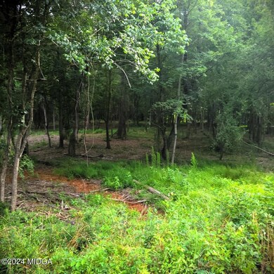 0 Cardiff Dr unit 175520, Macon, GA 31220 - photo 4