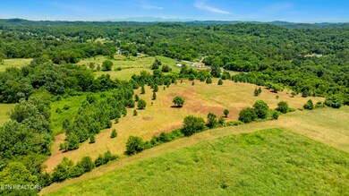 7 Thorngrove Pike, Kodak, TN 37764 - photo 4