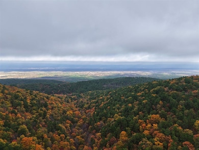 4179 Lafayette, Talihina, OK 74571 - photo 7