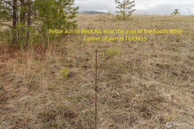 3600 Block Beck Rd, Rice, WA 99167 - photo 5
