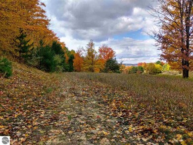 00 Walling Rd unit C, Helena Township, MI 49612 - photo 2