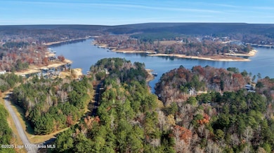 58 Long Point Rd, Double Springs, AL 35553 - photo 6