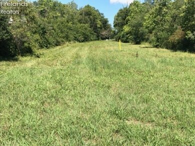 0 Devils Hole Rd unit 20192020, Pemberville, OH 43450 - photo 4