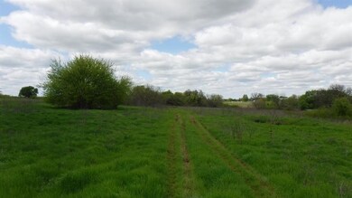 0 County Road 4196, Decatur, TX 76234 - photo 3
