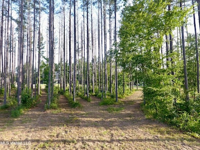DJI_0041