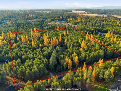 105 E Saltz Ln, Deer Park, WA 99006 - photo 4