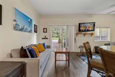 10433 Mt Baker Hwy unit 1007, Glacier, WA 98244 - photo 6