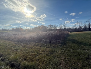 5089 Bayard Rd, Homeworth, OH 44634 - photo 4