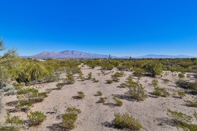 IMG_9766