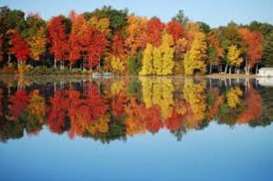 157 Red Gate Rd, Sanbornville, NH 03872 - photo 4