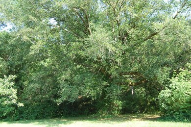 195 Curlie Seal Rd, Picayune, MS 39466 - photo 6