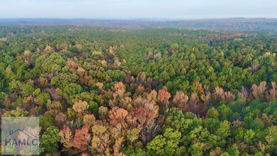 0 Dennis Creek Rd unit 158993, Talbotton, GA 31827 - photo 4