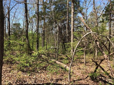 0 Burghead Dr unit 1144405, Bella Vista, AR 72715 - photo 4