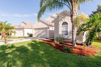 18915 Quarry Badger Rd, Land O Lakes, FL 34638 - photo 7