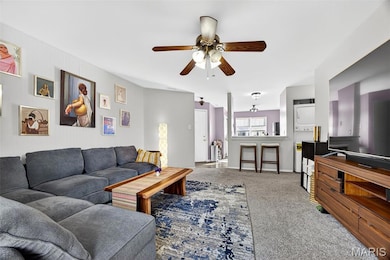 75 Sugar Glen Ct unit 7, Saint Peters, MO 63376 - photo 7