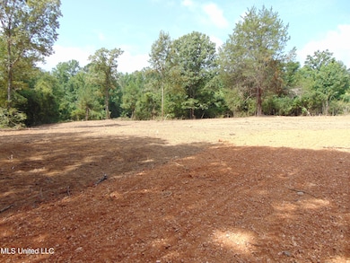 1015 Tarver Ln, Wesson, MS 39191 - photo 6