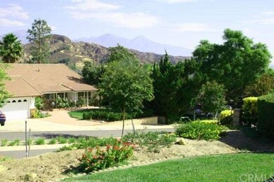 MT. BALDY VIEWS FROM THE FRONT YARD AND CORNER BED