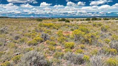 Camino Del Desierto, Cubero, NM 87321 - photo 6