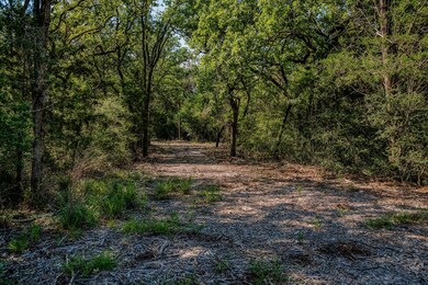 View of woods
